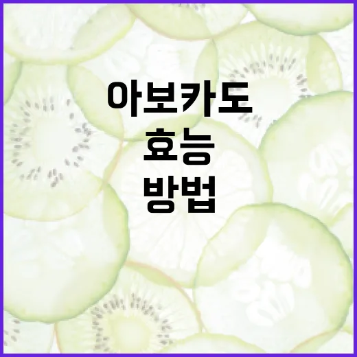 아보카도의 효능을 최대한 활용하는 방법 - 요약