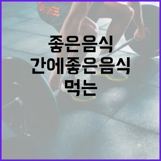 간에 좋은 음식을 먹는 방법 - 요약