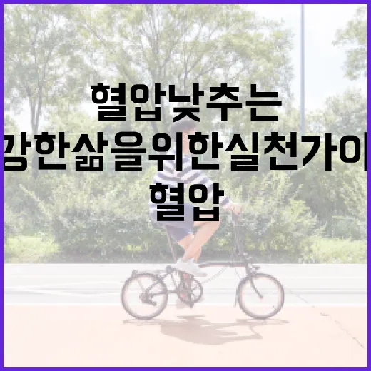 혈압 낮추는 방법: 건강한 삶을 위한 실천 가이드 - 요약