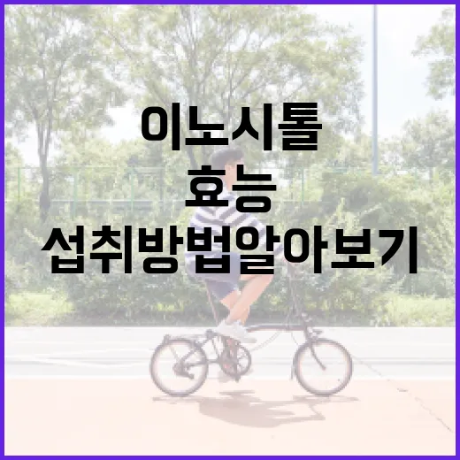 이노시톨의 효능과 섭취 방법 알아보기 - 요약