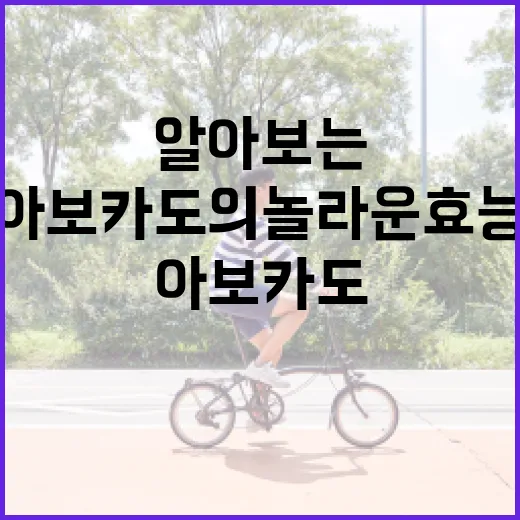 아보카도의 놀라운 효능을 알아보는 방법 - 요약