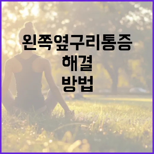 왼쪽 옆구리 통증을 해결하는 방법 - 요약