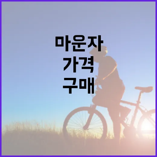 마운자를 구매할 때 가격을 절약하는 방법 - 요약