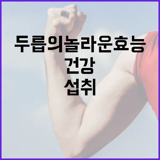 두릅의 놀라운 효능과 건강하게 섭취하는 방법 - 요약