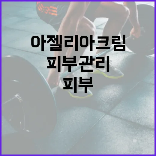 아젤리아크림을 활용하는 방법: 피부 관리의 새로운 비결 - 요약