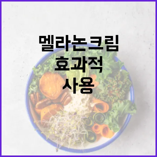 멜라논크림을 효과적으로 사용하는 방법 - 요약