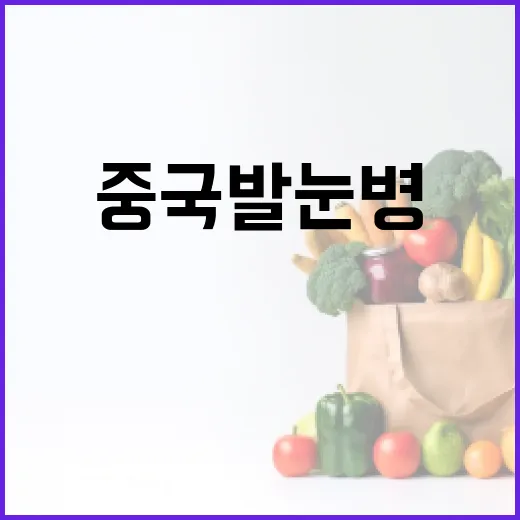 중국발 눈병 예방 및 대처 방법 - 요약