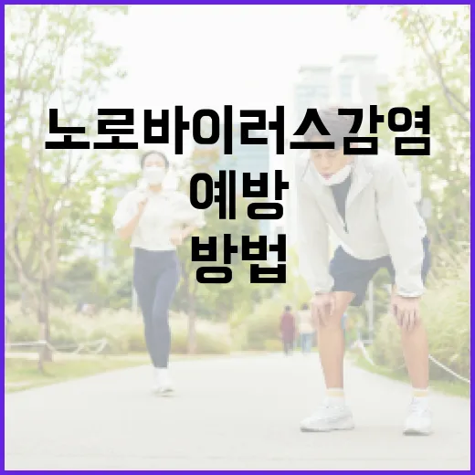 노로바이러스 감염을 예방하는 방법 - 요약