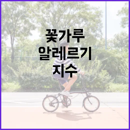 꽃가루지수를 이해하고 알레르기 대처하는 방법 - 요약