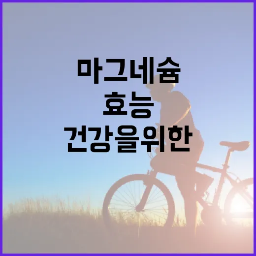 마그네슘의 효능: 건강을 위한 필수 가이드 - 요약