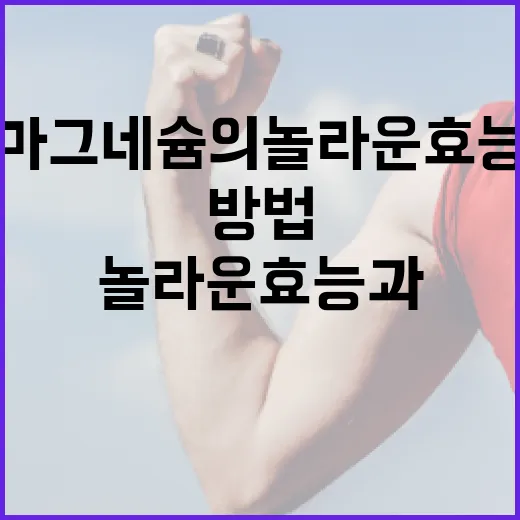 마그네슘의 놀라운 효능과 활용 방법 - 요약