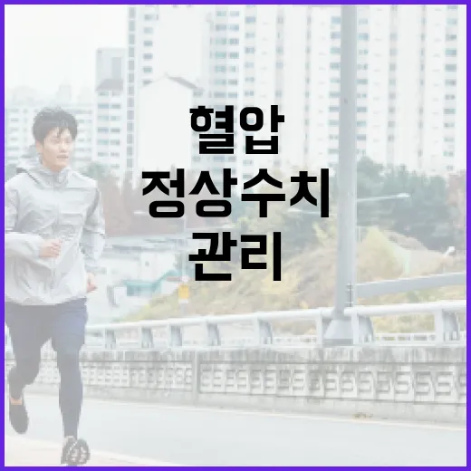 혈압 정상 수치를 이해하고 관리하는 방법 - 요약