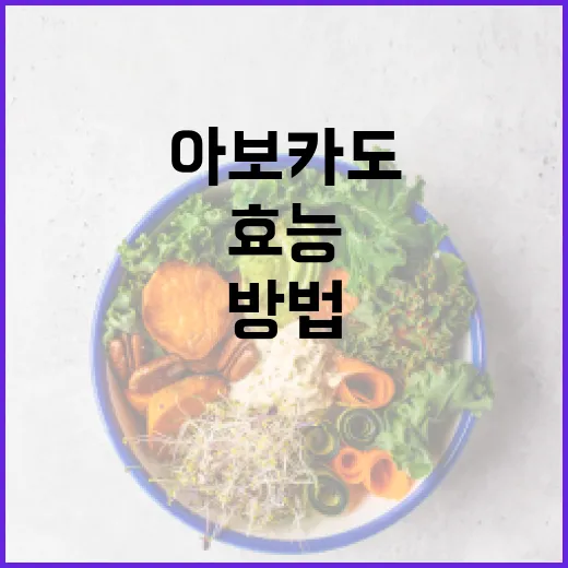 아보카도의 효능을 극대화하는 방법 - 요약