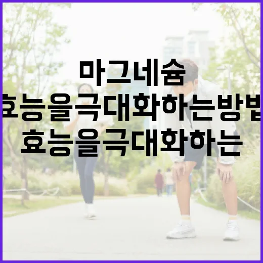 마그네슘 효능을 극대화하는 방법 - 요약