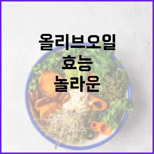 올리브오일의 놀라운 효능을 알아보는 방법 - 요약