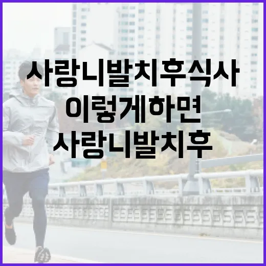 사랑니 발치 후 식사, 이렇게 하면 안전해요 - 요약