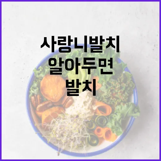 사랑니 발치 후 식사할 때 알아두면 좋은 방법 - 요약
