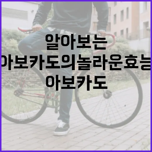 아보카도의 놀라운 효능을 알아보는 방법 - 요약