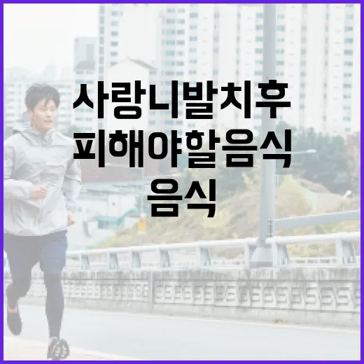 사랑니 발치 후 먹을 수 있는 음식과 피해야 할 음식 - 요약