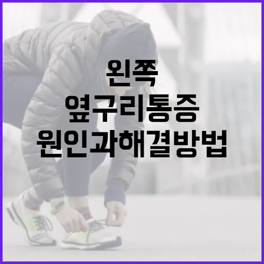 왼쪽 옆구리 통증의 원인과 해결 방법 - 요약