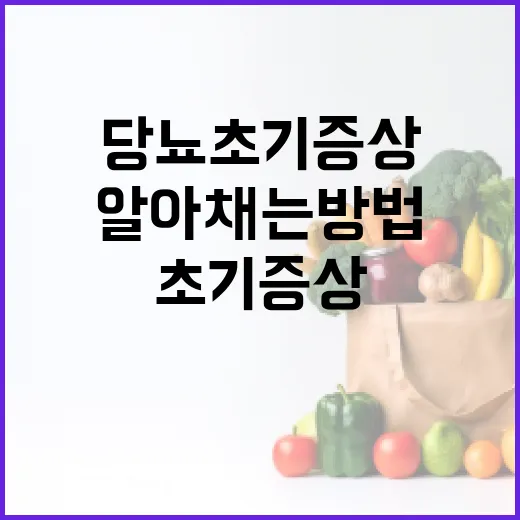 당뇨 초기증상을 알아채는 방법 - 요약