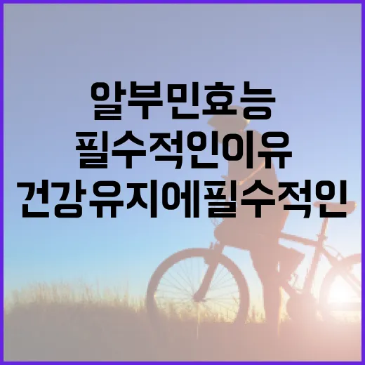 알부민 효능 이해하기: 건강 유지에 필수적인 이유 - 요약