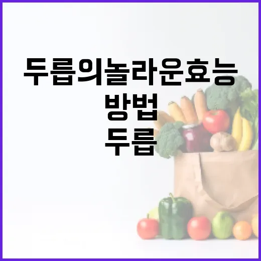 두릅의 놀라운 효능과 활용하는 방법 - 요약