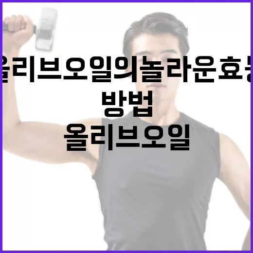 올리브오일의 놀라운 효능을 아는 방법 - 요약