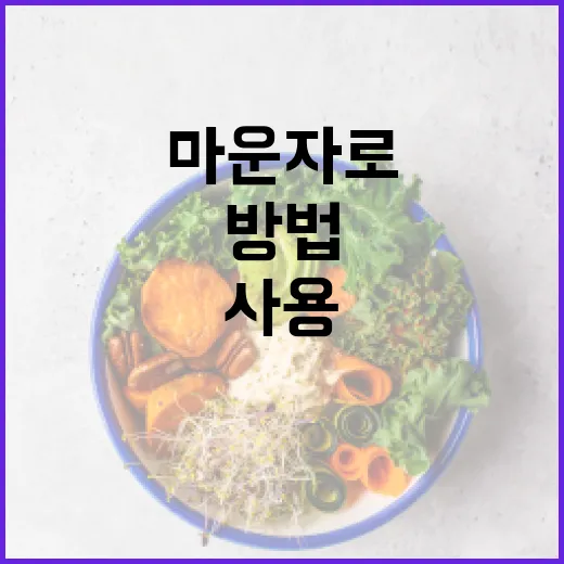 마운자로를 잘 사용하는 방법 - 요약