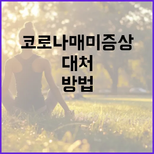 코로나 매미 증상을 이해하고 대처하는 방법 - 요약