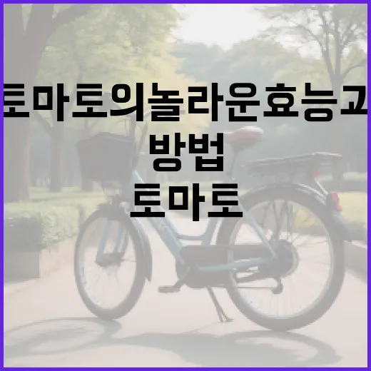 토마토의 놀라운 효능과 활용 방법 - 요약