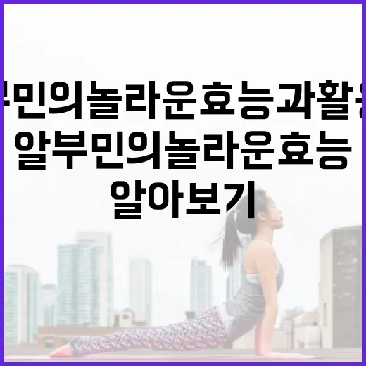 알부민의 놀라운 효능과 활용법 알아보기 - 요약