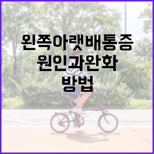 왼쪽 아랫배 통증의 원인과 완화 방법 - 요약