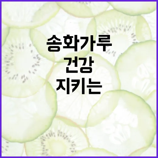 송화가루로 건강을 지키는 방법 - 요약