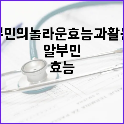 알부민의 놀라운 효능과 활용법 - 요약