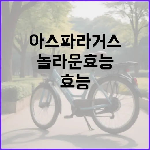 아스파라거스의 놀라운 효능을 알아보는 방법 - 요약