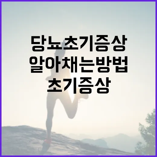 당뇨 초기증상을 알아채는 방법 - 요약