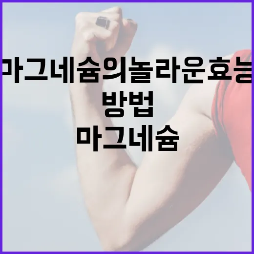 마그네슘의 놀라운 효능을 아는 방법 - 요약