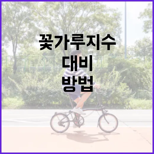 꽃가루지수를 이해하고 대비하는 방법 - 요약