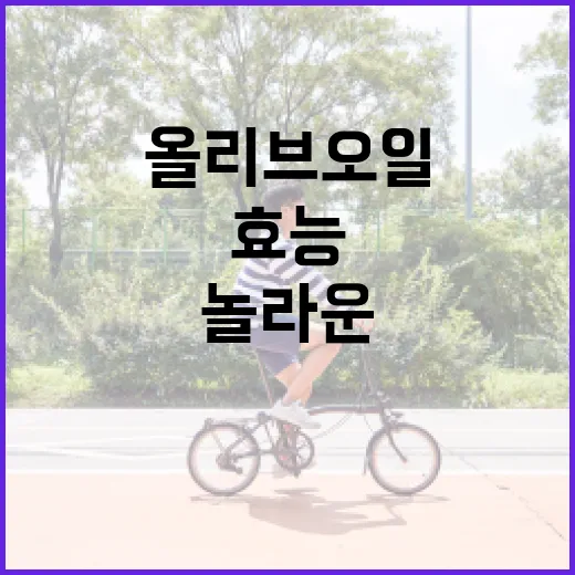 올리브오일의 놀라운 효능을 극대화하는 방법 - 요약