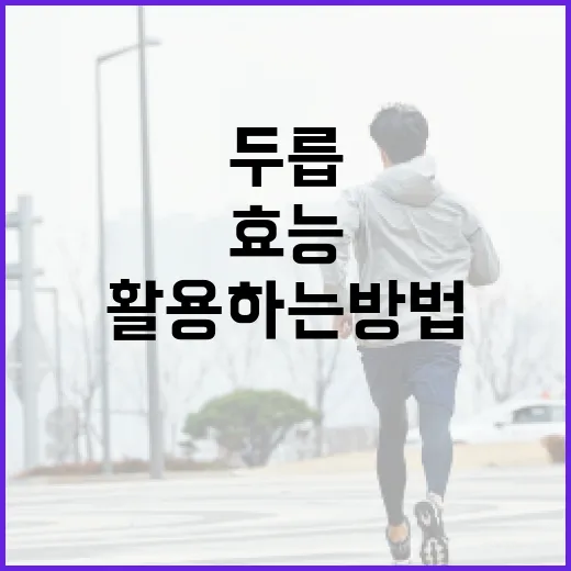 두릅의 효능을 최대한 활용하는 방법 - 요약