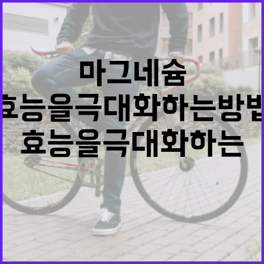 마그네슘 효능을 극대화하는 방법 - 요약