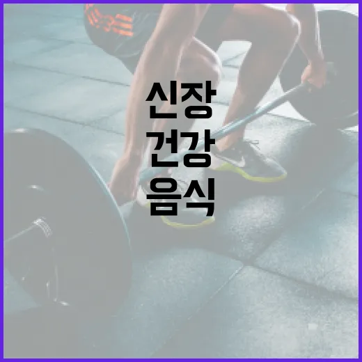 신장을 건강하게 유지하는 음식 섭취 방법 - 요약