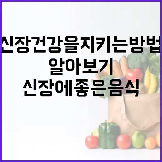 신장 건강을 지키는 방법: 신장에 좋은 음식 알아보기 - 요약