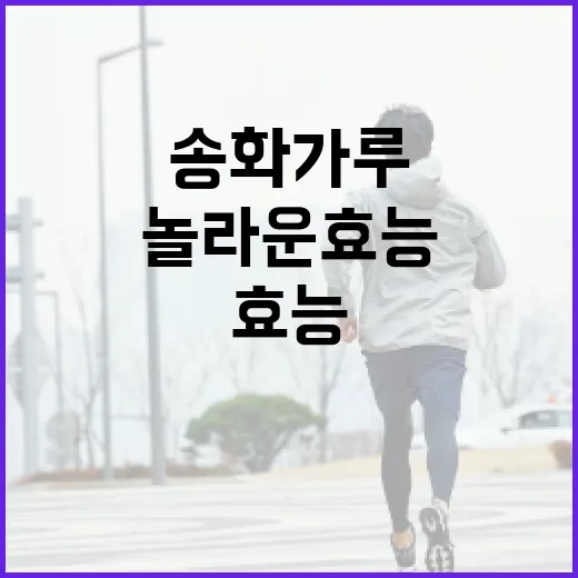 송화가루의 놀라운 효능과 사용 방법 - 요약