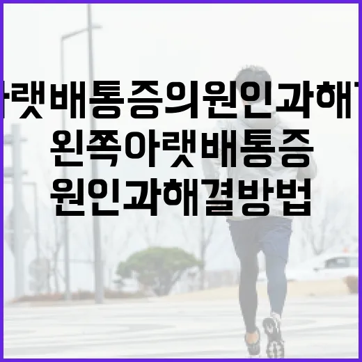 왼쪽 아랫배 통증의 원인과 해결 방법 - 요약