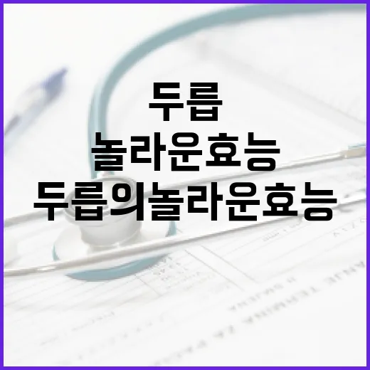 두릅의 놀라운 효능을 알아보는 방법 - 요약