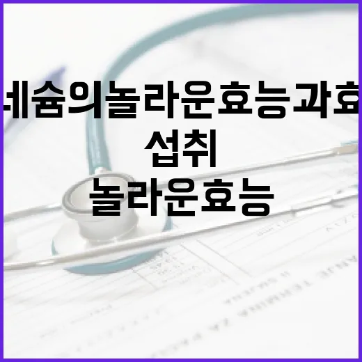 마그네슘의 놀라운 효능과 효과적으로 섭취하는 방법 - 요약