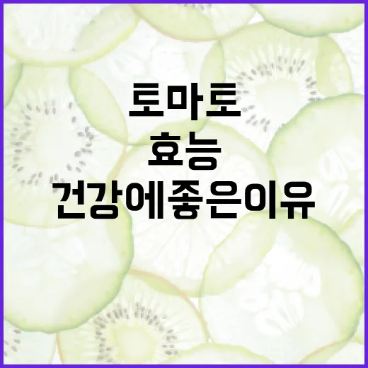 토마토의 효능과 건강에 좋은 이유 - 요약