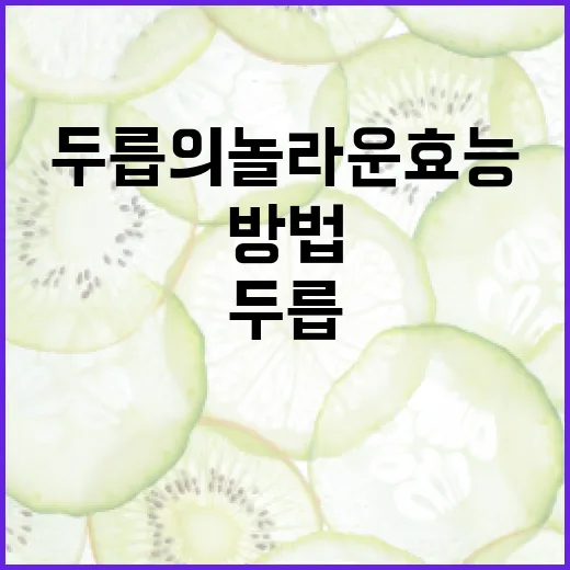 두릅의 놀라운 효능과 활용 방법 - 요약